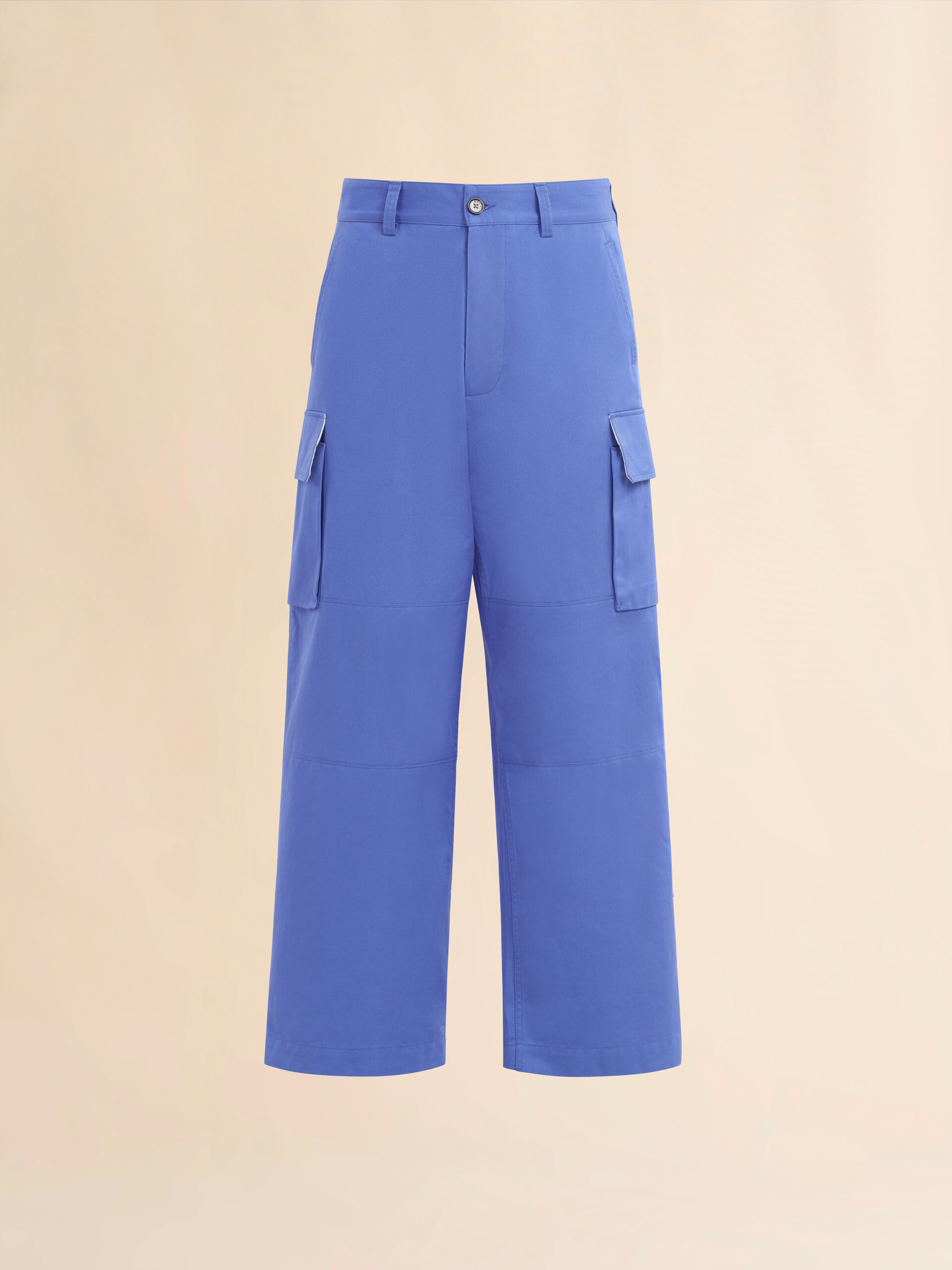 Indigo organic cotton cargo pants - Pants - Image 1